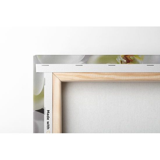 Obraz elegantní květ orchideje na abstraktním pozadí