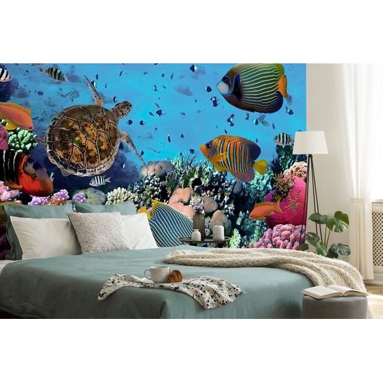 Fototapeta svět pod mořskou hladinou