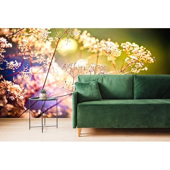 Zajímavá fototapeta zákoutí s květinami