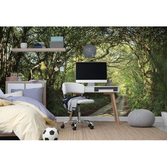 Samolepící tapeta cesta do magického lesa