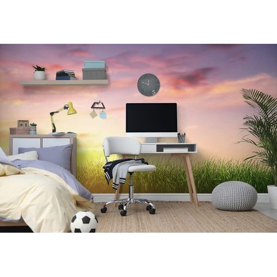 Tapeta paprsky slunce nad loukou