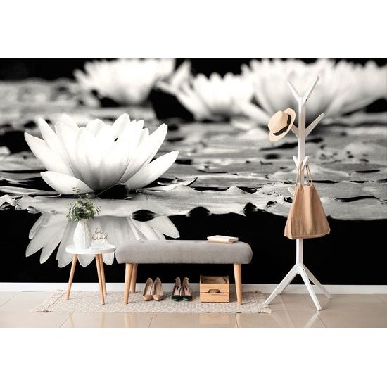 Samolepící fototapeta okouzlující květ lotosu v černobílém provedení