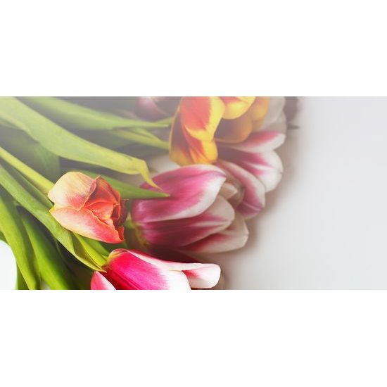 Obraz nádherně zbarvené tulipány