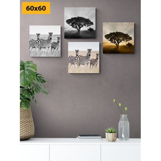 Set obrazů divoká savana