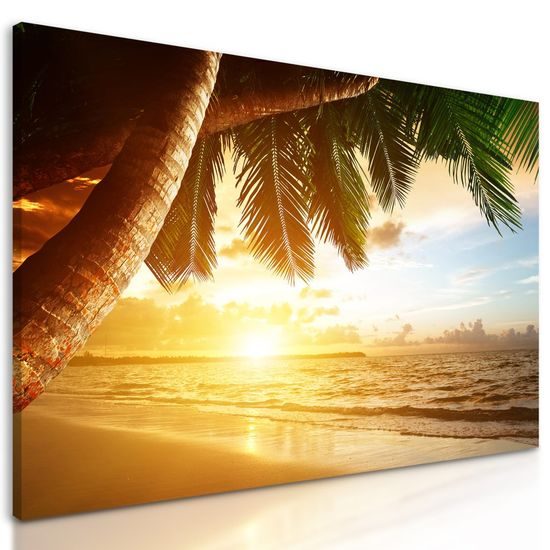 Obraz východ slunce v tropickém ráji
