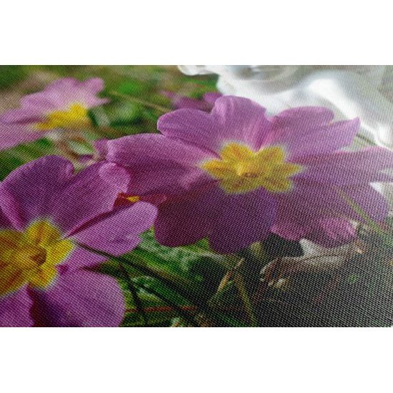 Obraz anděl na rozkvetlé louce