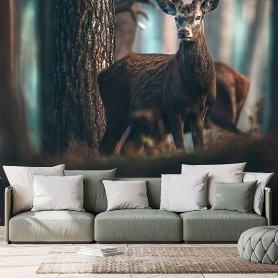 Samolepící fototapeta setkání s jelenem