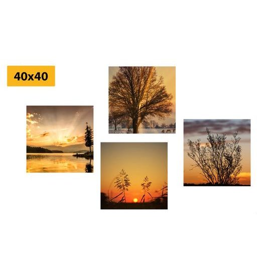 Set obrazů něžná příroda