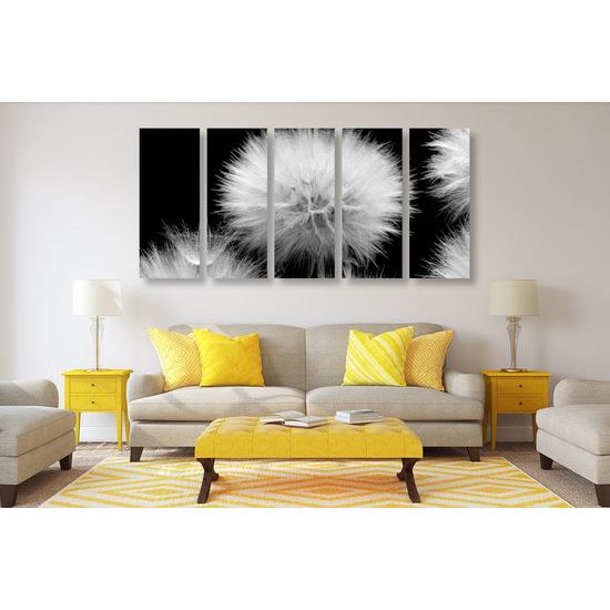 5-dílný obraz pampeliška v rozkvětu v černobílém provedení