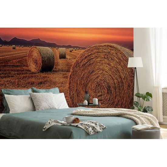 Fototapeta s balikmi sena field