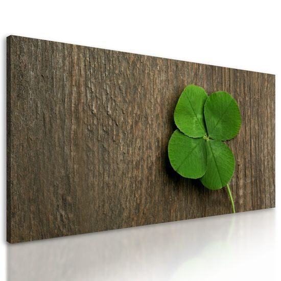 Obraz zelený čtvrtlístek pro štěstí