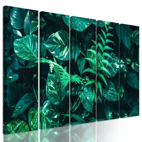 5-dílný obraz deštný prales