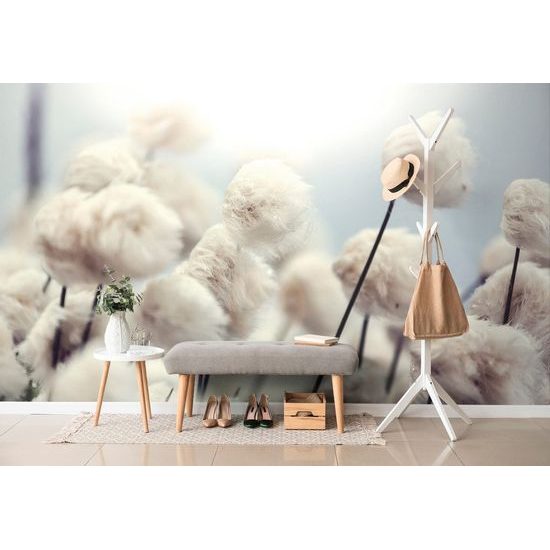 Okouzlující tapeta květiny bavlny ve větru