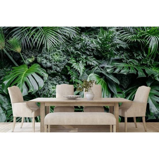 Samolepící fototapeta divoká džungle