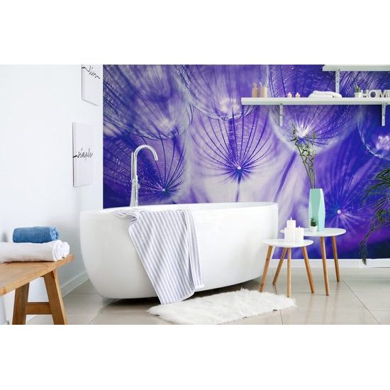 Zajímavá samolepící fototapeta fialová pampeliška