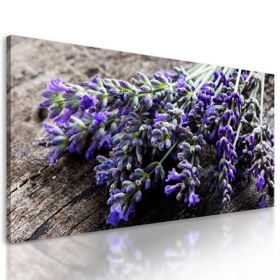 Obraz léčivé bylinky