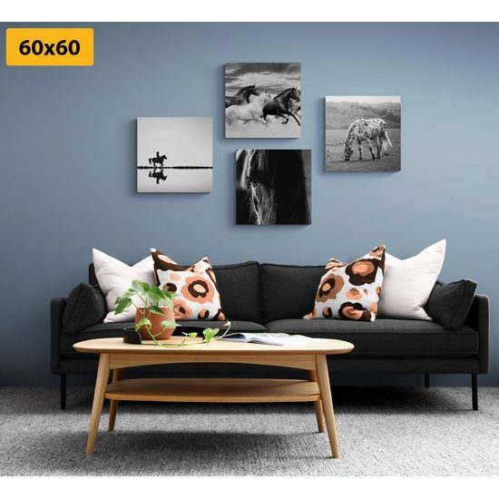 Set obrazů černobílá elegance koní