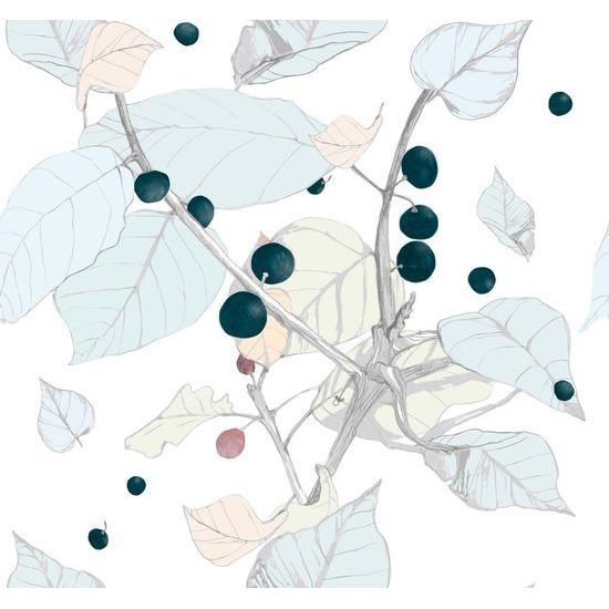 Tapeta strapce hroznů