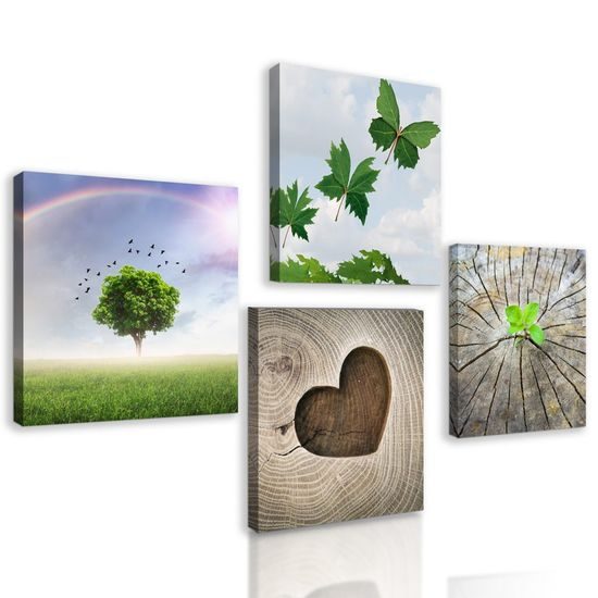 Set obrazů nádherné detaily přírody