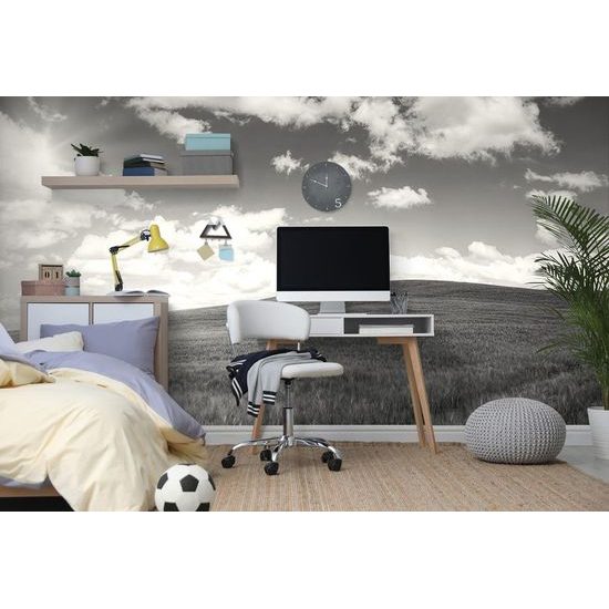 Fototapeta nádherná černobílá louka