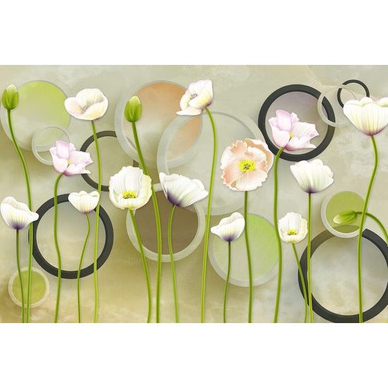 Samolepící tapeta květiny bílého máku s abstraktním pozadím