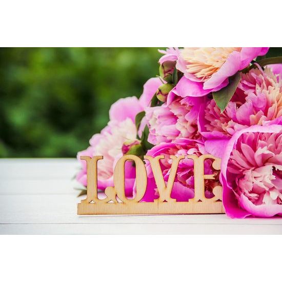 Fototapeta romantické pivoňky