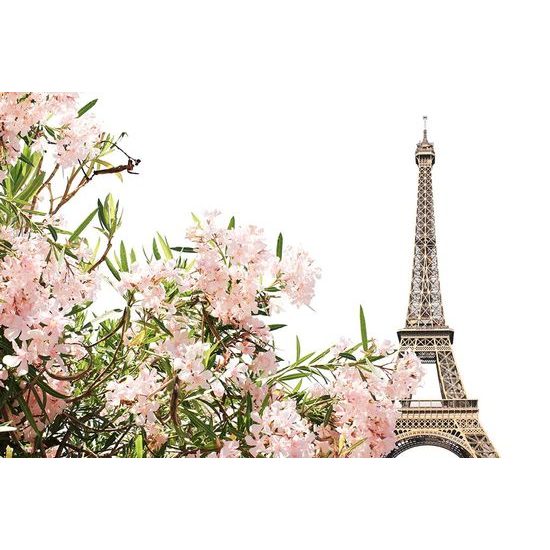 Samolepící fototapeta Eiffelova věž s romantickými květinami