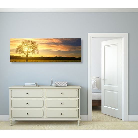 Obraz slunce zapadající za les