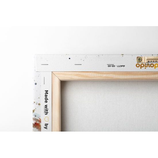 Obraz malba tajemného vlka