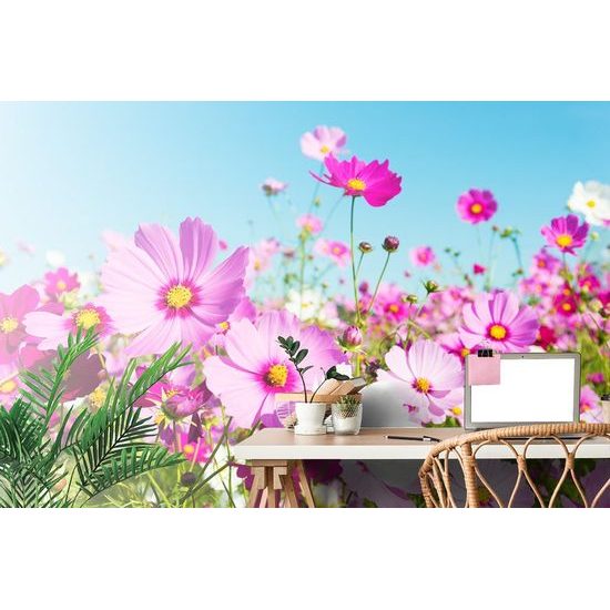 Fototapeta růžové luční květiny