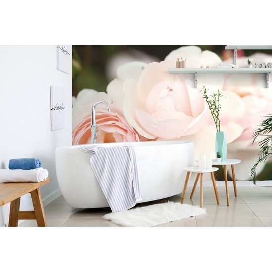 Fototapeta detail pastelové ruze