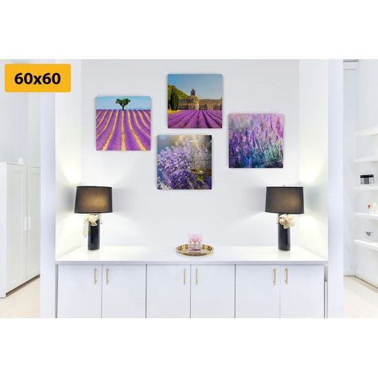 Set obrazů levandulová nádhera