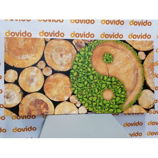 Obraz symbol Jin a Jang ukrytý ve pařezech