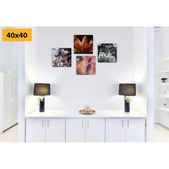 Set obrazů romantické květiny