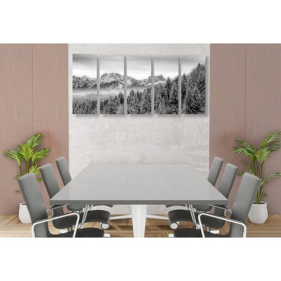 5-dílný obraz černobílá zamrzlá země