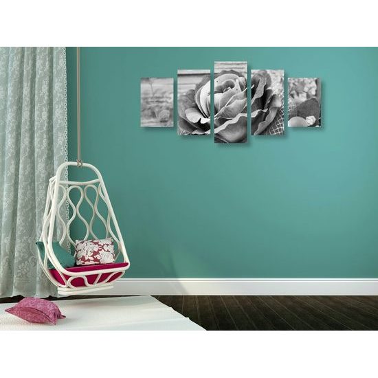 5-dílný obraz nádherná růžová růže v černobílém provedení
