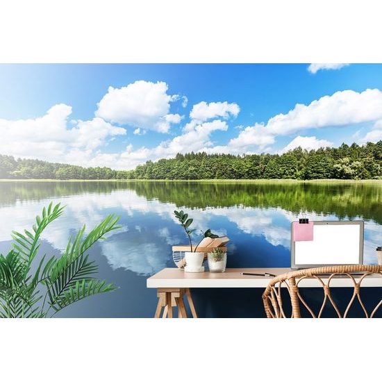 Originální samolepící fototapeta letní příroda