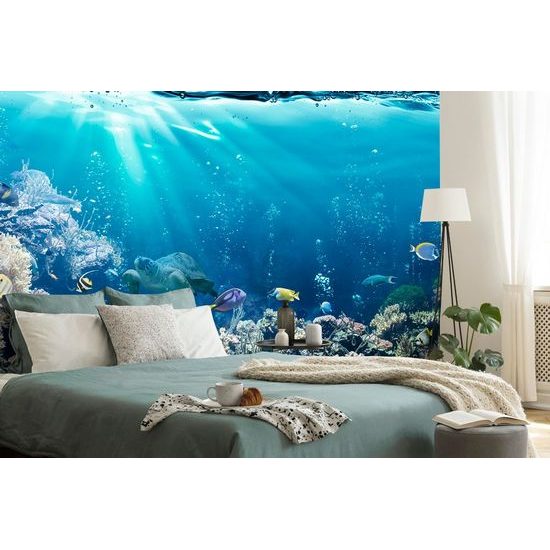 Zajímavá samolepící fototapeta mořské ryby