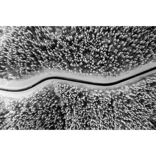 Samolepící tapeta černobílá cesta zimní krajinou