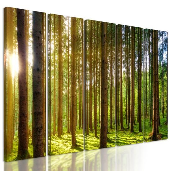 5-dílný obraz paprsky slunce mezi stromy