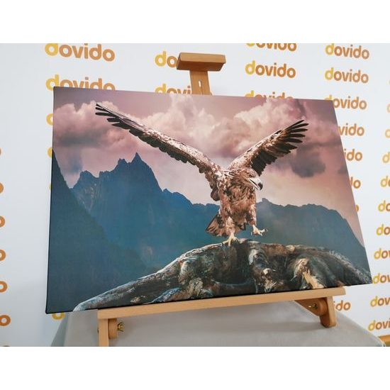 Obraz impozantní orel nad horami