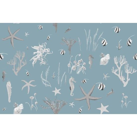 Samolepící tapeta mořský život