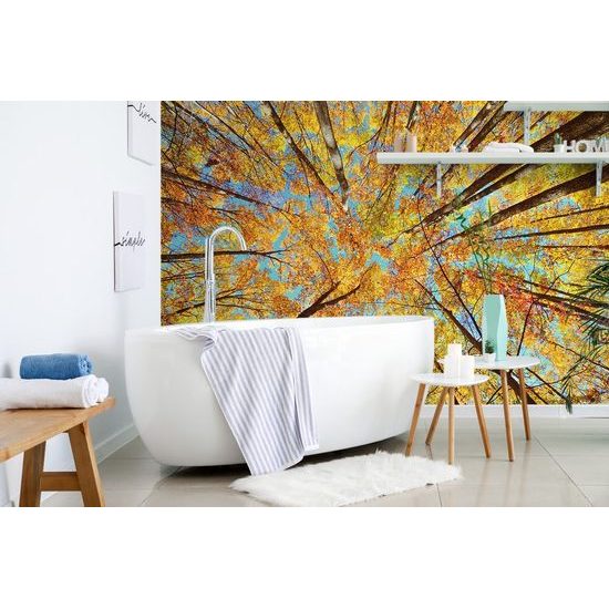 Fototapeta koruny stromů v podzimních barvách