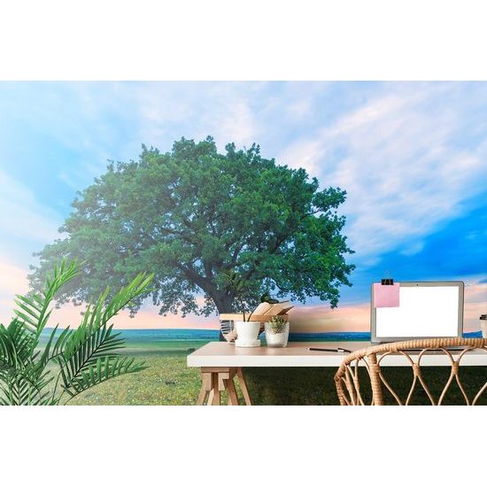 Originální samolepící fototapeta mohutný dub