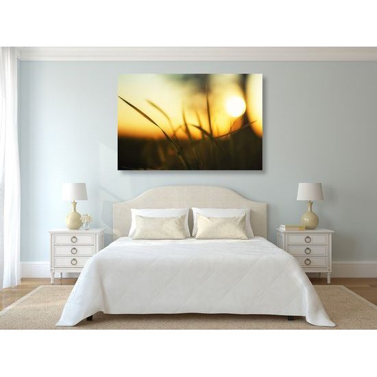 Obraz letní západ slunce