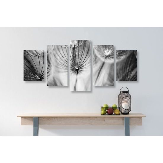 5-dílný obraz abstraktní pampeliška v černobílém provedení