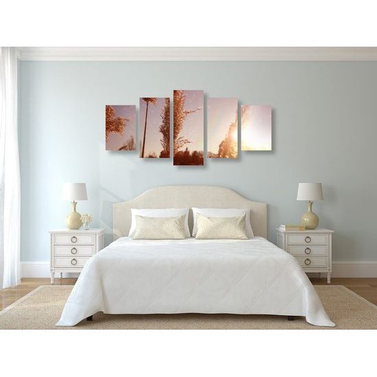 5-dílný obraz stébla trávy při západu slunce