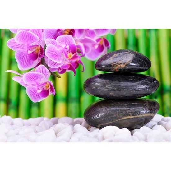 Samolepící fototapeta nádherná zen zahrada