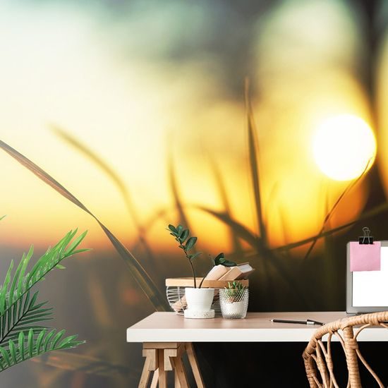 Samolepící fototapeta pohled na západ slunce z trávy