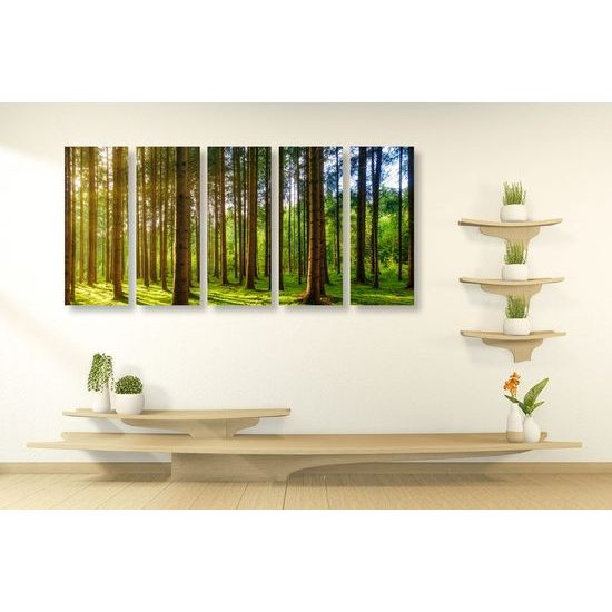 5-dílný obraz nádherné paprsky slunce mezi stromy